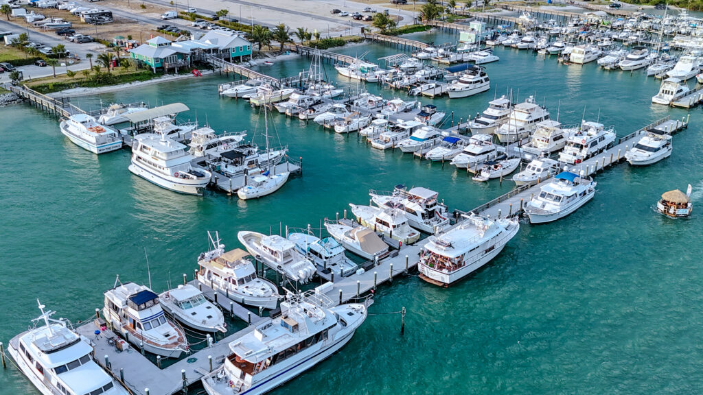Aerial Perspectives: How Drone Photography Brings Your Vision to Life
